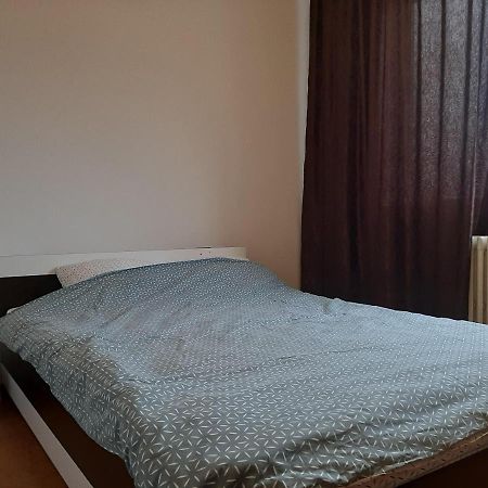 Ultracentral Apartment Bulevard Regele Mihai Nr 10, Sc A Ap 16 Temešvár Exteriér fotografie